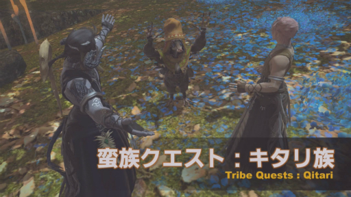 画像ギャラリー No.029のサムネイル画像 / MODやツールに対する見解も。「FFXIV 第57回プロデューサーレターLIVE」の内容をお届け