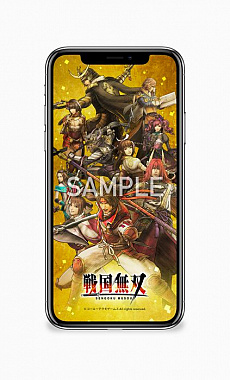 画像ギャラリー No.003のサムネイル画像 / 「戦国無双」シリーズのプレイ経験者を対象としたユーザーアンケートの募集が開始。2月24日23：59まで