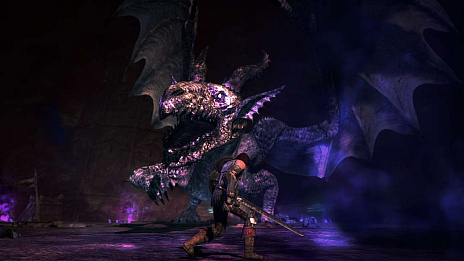 画像ギャラリー No.021のサムネイル画像 / 「ドラゴンズドグマ：ダークアリズン」のNintendo Switch版が2019年4月25日に発売。広大なオープンワールドと重厚なファンタジーの世界が楽しめる