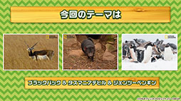画像ギャラリー No.002のサムネイル画像 / バトルパートや「セルリアンたいじ」などゲームシステムが公開に。スマホ＆AC向け新作「けものフレンズ3」の公式生放送で発表された最新情報をお届け