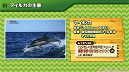 画像ギャラリー No.024のサムネイル画像 / アプリ版＆アーケード版「けものフレンズ3」のOP映像やショートアニメの最新話が公開に。本日実施された公式生放送の模様をレポート