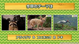 画像ギャラリー No.022のサムネイル画像 / 「けもフレ3」，事前登録数15万件達成に伴い，ゲーム内キャラ「トキ」の配付が決定。ログインボーナス情報なども発表された公式生放送の模様をレポート