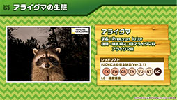 画像ギャラリー No.023のサムネイル画像 / 「けもフレ3」，事前登録数15万件達成に伴い，ゲーム内キャラ「トキ」の配付が決定。ログインボーナス情報なども発表された公式生放送の模様をレポート