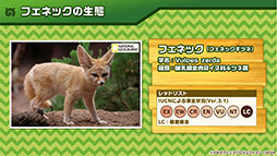 画像ギャラリー No.024のサムネイル画像 / 「けもフレ3」，事前登録数15万件達成に伴い，ゲーム内キャラ「トキ」の配付が決定。ログインボーナス情報なども発表された公式生放送の模様をレポート