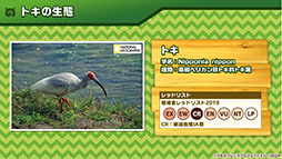 画像ギャラリー No.025のサムネイル画像 / 「けもフレ3」，事前登録数15万件達成に伴い，ゲーム内キャラ「トキ」の配付が決定。ログインボーナス情報なども発表された公式生放送の模様をレポート