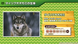 画像ギャラリー No.013のサムネイル画像 / アプリ版「けもフレ3」に登場する「タイリクオオカミ」「ヒツジ」の詳細や，アニメ「ちょこけも」の新章が公開に。公式生放送で発表された最新情報を一挙掲載