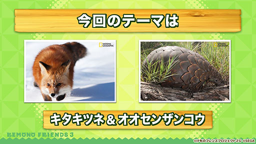 画像ギャラリー No.023のサムネイル画像 / アプリ版「けもフレ3」にキタキツネ，オオセンザンコウら新フレンズが登場。年末年始に開催されるイベント情報なども発表された公式生放送をレポート