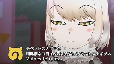 画像ギャラリー No.009のサムネイル画像 / 「けものフレンズ3」，イベント“目立て！渚のライフセーバー”が開始