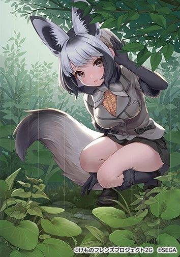 画像ギャラリー No.010のサムネイル画像 / 「けものフレンズ3」に新フレンズ“オオミミギツネ”が登場