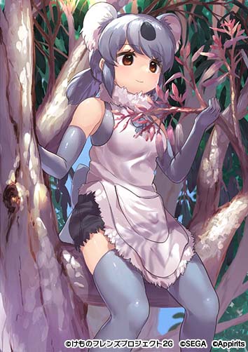 画像ギャラリー No.008のサムネイル画像 / 「けものフレンズ3」,イベント“体力測定 コアラ編”開催