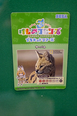 画像ギャラリー No.025のサムネイル画像 / ［JAEPO2019］フレンズ達が可愛く“ちからくらべ”。幅広い年齢層が楽しめる「けものフレンズ3 プラネットツアーズ」プレイレポート