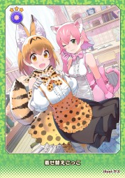 画像ギャラリー No.028のサムネイル画像 / 「けものフレンズ3 プラネットツアーズ」が本日より稼働開始。“はなまるアニマル”による紹介動画「わくわく探検レポート出張版」が公開