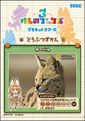 画像ギャラリー No.041のサムネイル画像 / 「けものフレンズ3 プラネットツアーズ」が本日より稼働開始。“はなまるアニマル”による紹介動画「わくわく探検レポート出張版」が公開