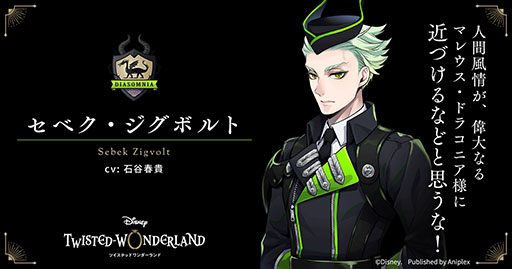 画像ギャラリー No.006のサムネイル画像 / 「ディズニー ツイステッドワンダーランド」で事前登録の受け付けがスタート。新キービジュアルとテーマソングを紹介する映像も掲載