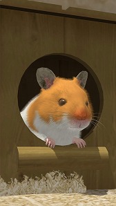 画像ギャラリー No.002のサムネイル画像 / 3Dグラフィックスで描かれたハムスターを飼育できるアプリ「なまはむ」が今春リリース予定。事前登録の受付も開始に