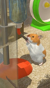 画像ギャラリー No.003のサムネイル画像 / 3Dグラフィックスで描かれたハムスターを飼育できるアプリ「なまはむ」が今春リリース予定。事前登録の受付も開始に