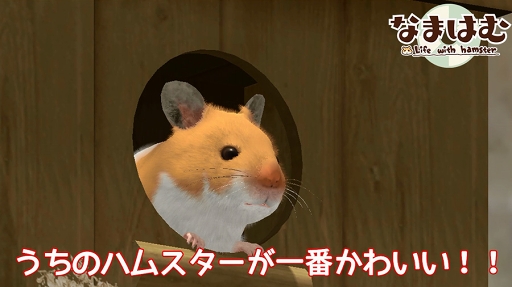 画像ギャラリー No.003のサムネイル画像 / ハムスター飼育アプリ「なまはむ」の紹介動画が公開。事前登録者数1000人突破に伴い特典の追加が決定