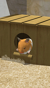画像ギャラリー No.003のサムネイル画像 / ハムスター飼育アプリ「なまはむ」の事前登録者数が5000人を突破。特典が追加に