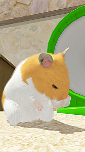 画像ギャラリー No.004のサムネイル画像 / ハムスター飼育アプリ「なまはむ」の事前登録者数が5000人を突破。特典が追加に