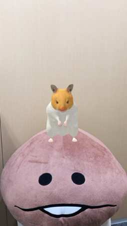 画像ギャラリー No.001のサムネイル画像 / スマホ向けハムスター飼育アプリ「なまはむ」の正式サービスが開始。自分だけのハムスターを心ゆくまで可愛がろう