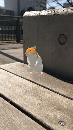 画像ギャラリー No.003のサムネイル画像 / スマホ向けハムスター飼育アプリ「なまはむ」の正式サービスが開始。自分だけのハムスターを心ゆくまで可愛がろう
