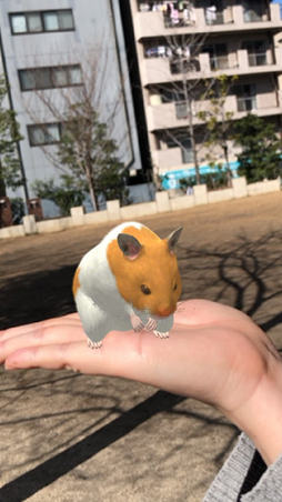 画像ギャラリー No.004のサムネイル画像 / スマホ向けハムスター飼育アプリ「なまはむ」の正式サービスが開始。自分だけのハムスターを心ゆくまで可愛がろう