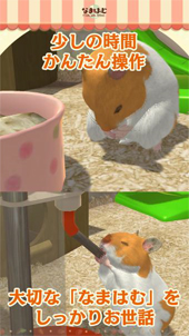 画像ギャラリー No.005のサムネイル画像 / スマホ向けハムスター飼育アプリ「なまはむ」の正式サービスが開始。自分だけのハムスターを心ゆくまで可愛がろう