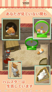 画像ギャラリー No.006のサムネイル画像 / スマホ向けハムスター飼育アプリ「なまはむ」の正式サービスが開始。自分だけのハムスターを心ゆくまで可愛がろう