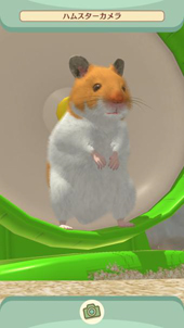 画像ギャラリー No.007のサムネイル画像 / スマホ向けハムスター飼育アプリ「なまはむ」の正式サービスが開始。自分だけのハムスターを心ゆくまで可愛がろう