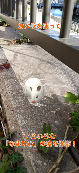 なまはむ