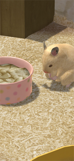なまはむ