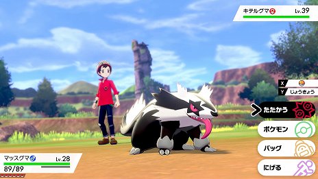 画像ギャラリー No.014のサムネイル画像 / 「ポケットモンスター ソード・シールド」，「ガラルのすがた」のポケモンやライバルが登場する動画が公開