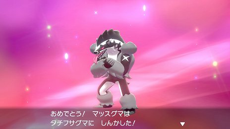画像ギャラリー No.016のサムネイル画像 / 「ポケットモンスター ソード・シールド」，「ガラルのすがた」のポケモンやライバルが登場する動画が公開