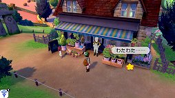 画像ギャラリー No.005のサムネイル画像 / 「ポケットモンスター ソード・シールド」ぶらり旅・前編。ガラル地方に生きるポケモンたちを見る