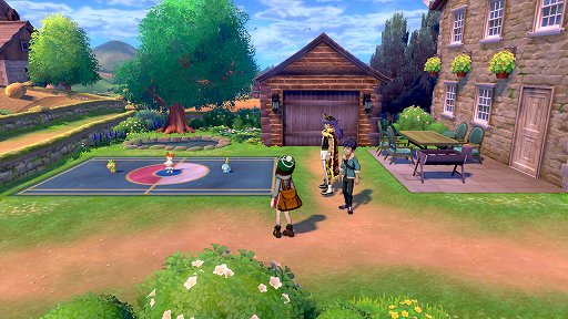 画像ギャラリー No.006のサムネイル画像 / 「ポケットモンスター ソード・シールド」ぶらり旅・前編。ガラル地方に生きるポケモンたちを見る