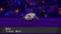 画像ギャラリー No.003のサムネイル画像 / 「ポケットモンスター ソード・シールド」ぶらり旅・後編。ガラル地方に生きるポケモンたちを見る