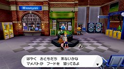 画像ギャラリー No.011のサムネイル画像 / 「ポケットモンスター ソード・シールド」ぶらり旅・後編。ガラル地方に生きるポケモンたちを見る