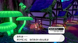 画像ギャラリー No.027のサムネイル画像 / 「ポケットモンスター ソード・シールド」ぶらり旅・後編。ガラル地方に生きるポケモンたちを見る
