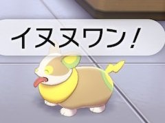 「ポケットモンスター ソード・シールド」ぶらり旅・後編。ガラル地方に生きるポケモンたちを見る