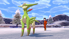 画像ギャラリー No.034のサムネイル画像 / 「ポケットモンスター ソード・シールド」エキスパンションパス第2弾・冠の雪原が10月23日に配信