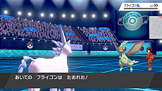 画像ギャラリー No.016のサムネイル画像 / 「ポケットモンスター ソード・シールド」，ソフトと“エキスパンションパス”がセットになったパッケージが本日発売。新PVの公開も