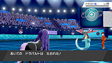 画像ギャラリー No.020のサムネイル画像 / 「ポケットモンスター ソード・シールド」，ソフトと“エキスパンションパス”がセットになったパッケージが本日発売。新PVの公開も