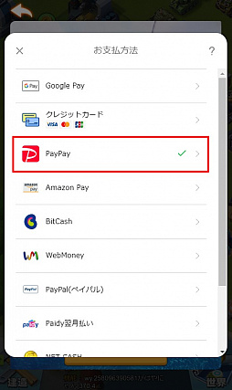 画像ギャラリー No.002のサムネイル画像 / 「G123」,PayPayでの決済サービスを開始