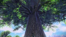 画像ギャラリー No.016のサムネイル画像 / 「SAO」シリーズ最新作「SWORD ART ONLINE Alicization Lycoris」が発売決定。ティザートレイラーや最新SSが公開に