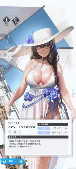画像ギャラリー No.008のサムネイル画像 / ［プレイレポ］「勝利の女神：NIKKE」に新登場の水着「メアリー」「ネオン」は灼熱コードのボスに対して強いニケだ