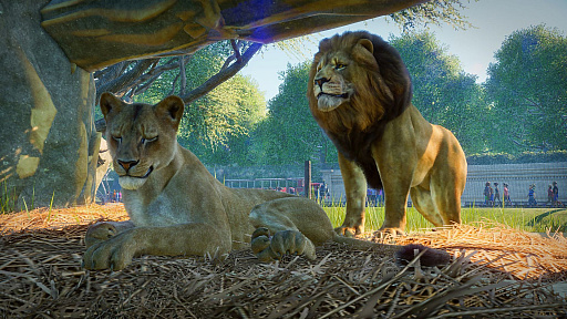 画像ギャラリー No.001のサムネイル画像 / 動物園運営シム「Planet Zoo」が発表。「Planet Coaster」や「Zoo Tycoon」で知られるFrontier Developmentsの新作