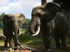 ［E3 2019］動物園を運営するシミュレーションゲーム「Planet Zoo」の発売日が11月5日に決定。最新PVも公開