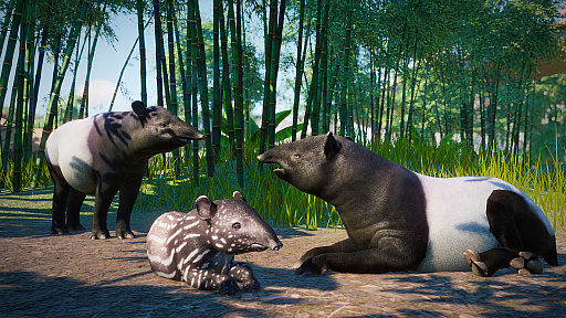 画像ギャラリー No.005のサムネイル画像 / 動物園運営シム「Planet Zoo」,シナリオや新機能を追加するアップデートを実施。東南アジアの動物を追加するDLCの販売も開始