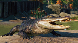 画像ギャラリー No.007のサムネイル画像 / 動物テーマパーク運営シム「Planet Zoo」に,北米の動物たちを追加する“North America Animal Pack”がリリース