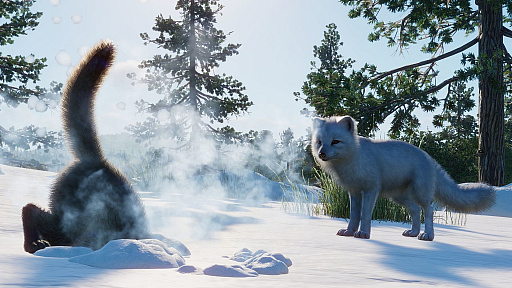 画像ギャラリー No.008のサムネイル画像 / 動物テーマパーク運営シム「Planet Zoo」に,北米の動物たちを追加する“North America Animal Pack”がリリース
